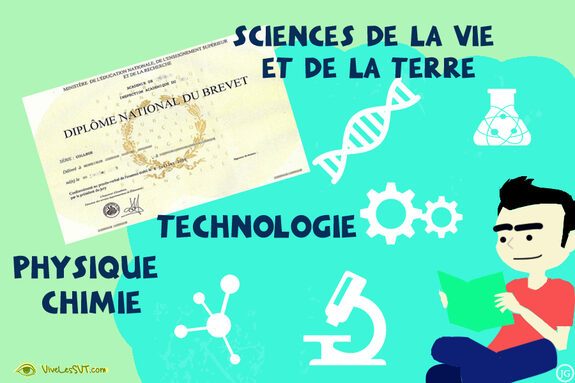 Les disciplines en Sciences et Technologie pour le BREVET 2024